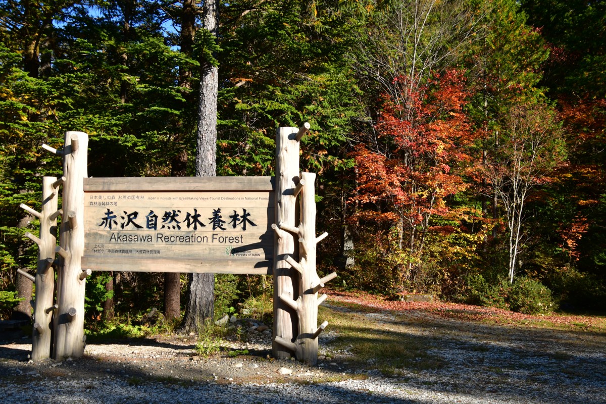 撮影・紅葉・赤沢森林鉄道