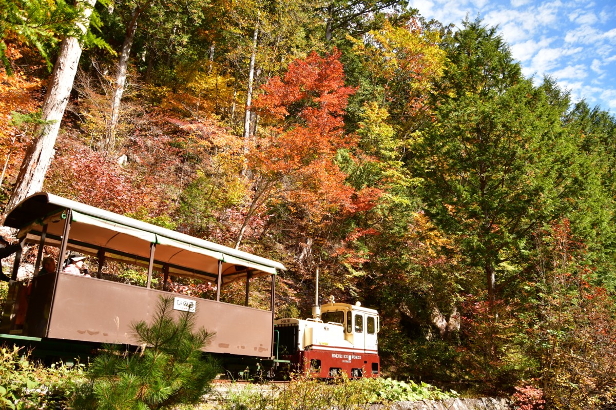 撮影・紅葉・赤沢森林鉄道