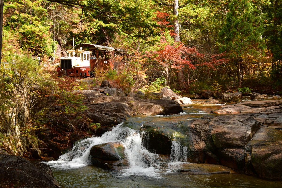 撮影・紅葉・赤沢森林鉄道
