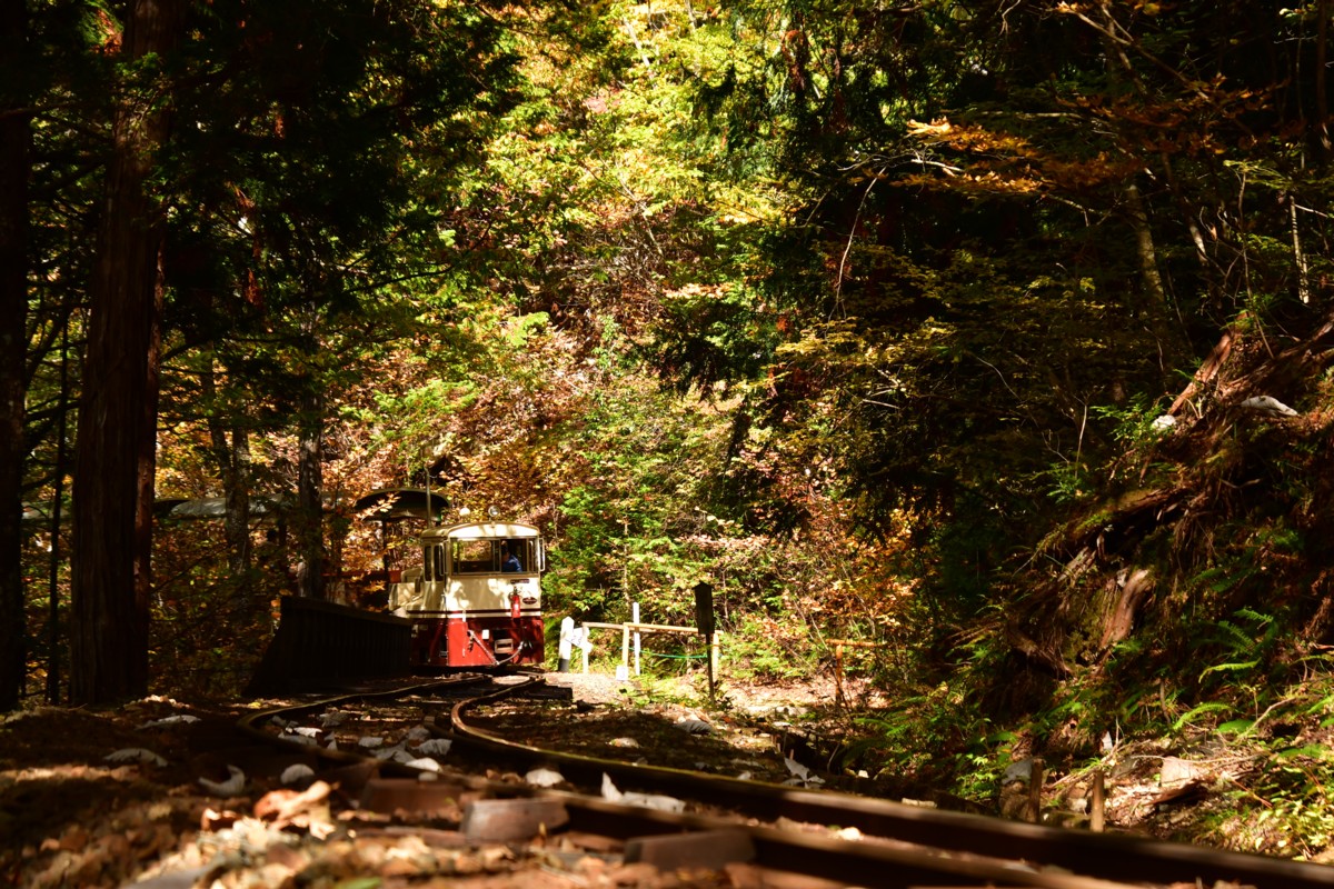 撮影・紅葉・赤沢森林鉄道