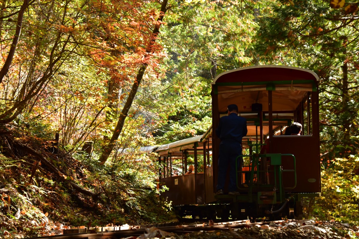 撮影・紅葉・赤沢森林鉄道