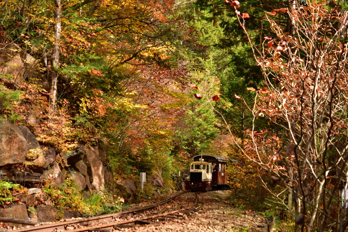 撮影・紅葉・赤沢森林鉄道