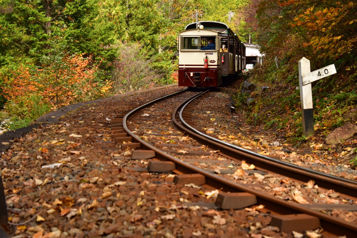 撮影・紅葉・赤沢森林鉄道