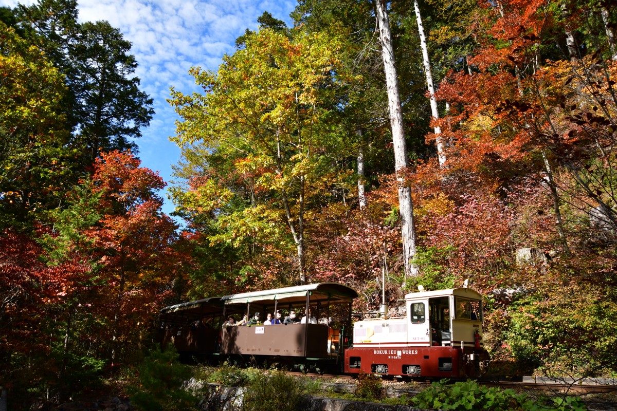 撮影・紅葉・赤沢森林鉄道