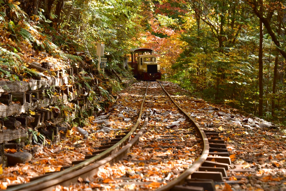 撮影・紅葉・赤沢森林鉄道