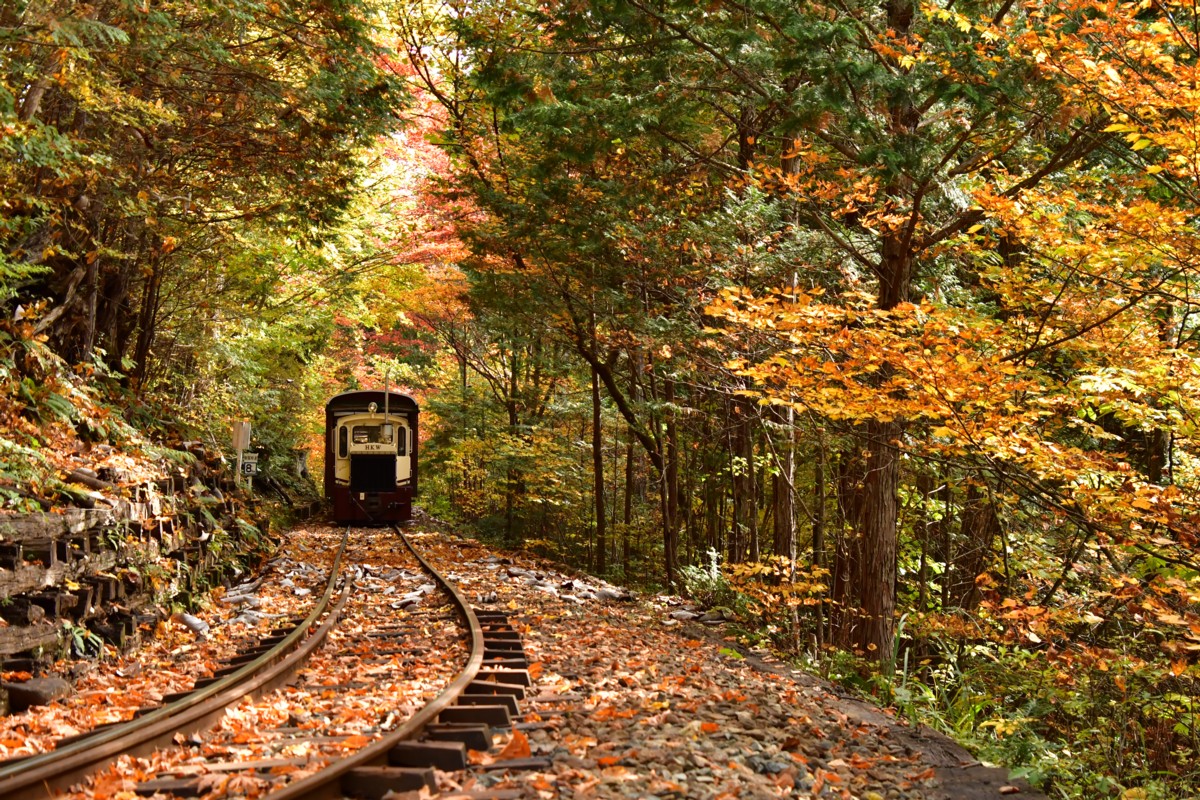 撮影・紅葉・赤沢森林鉄道