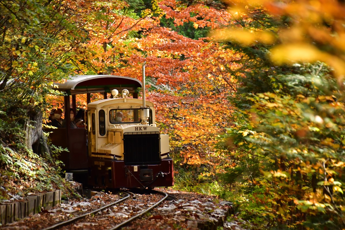 撮影・紅葉・赤沢森林鉄道