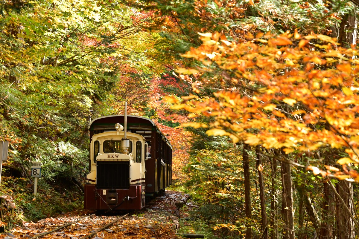 撮影・紅葉・赤沢森林鉄道
