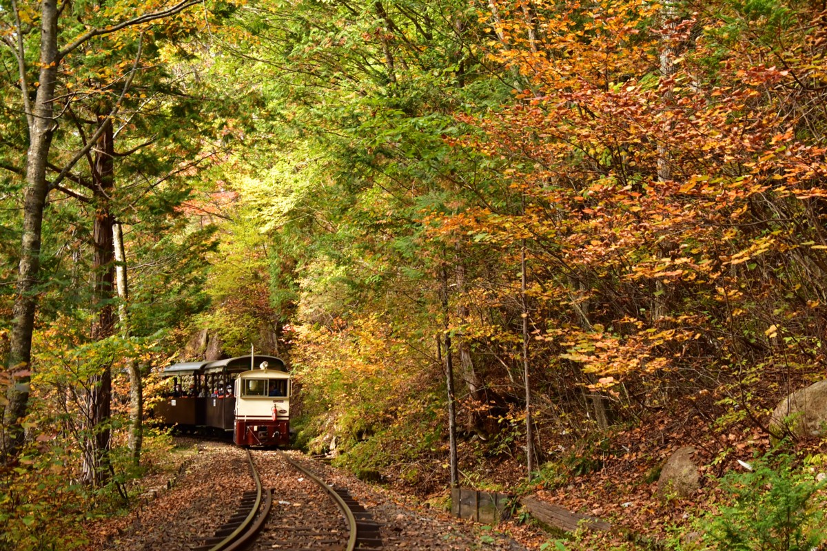 撮影・紅葉・赤沢森林鉄道