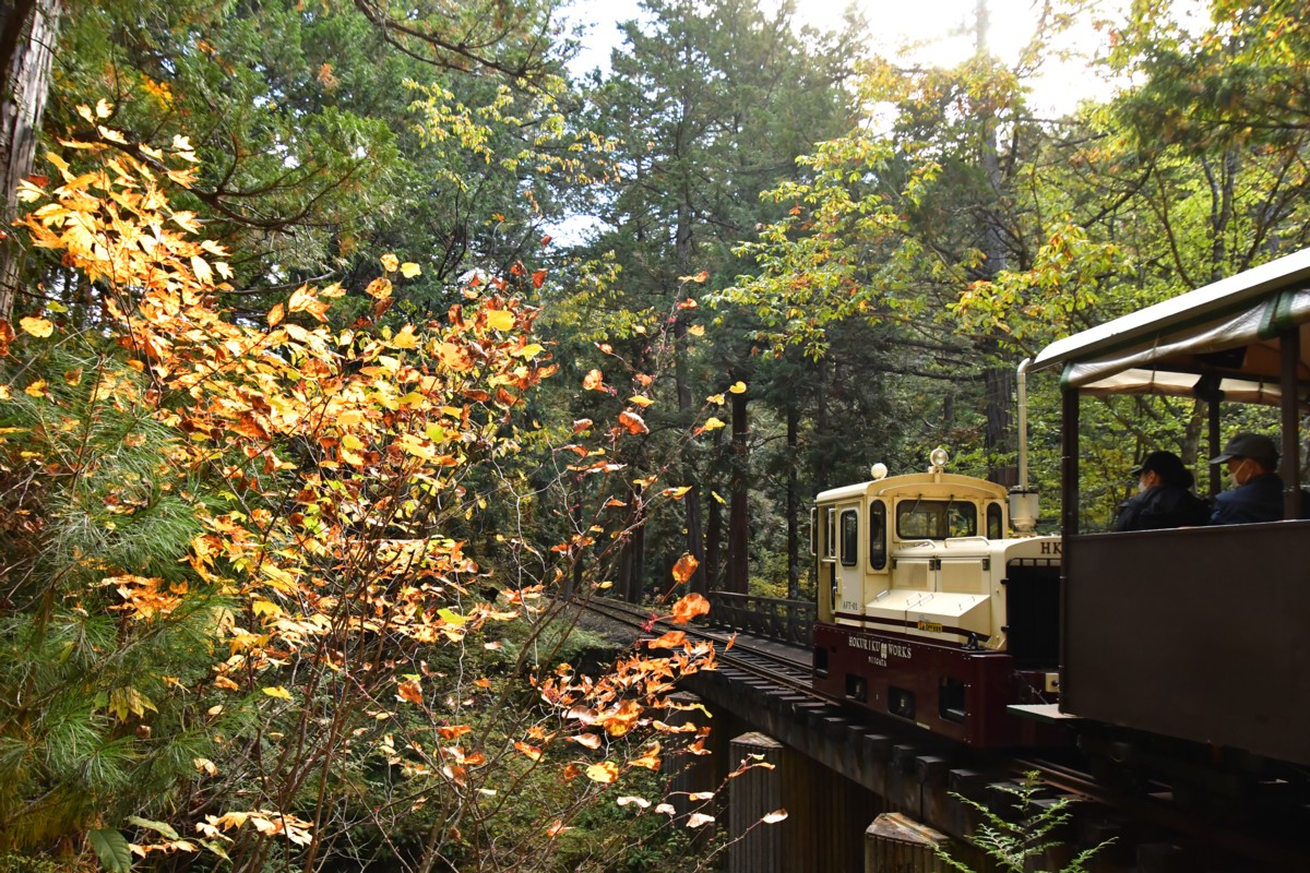 撮影・紅葉・赤沢森林鉄道