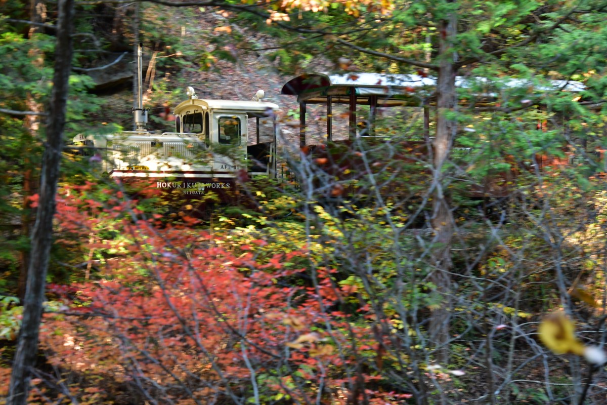 撮影・紅葉・赤沢森林鉄道