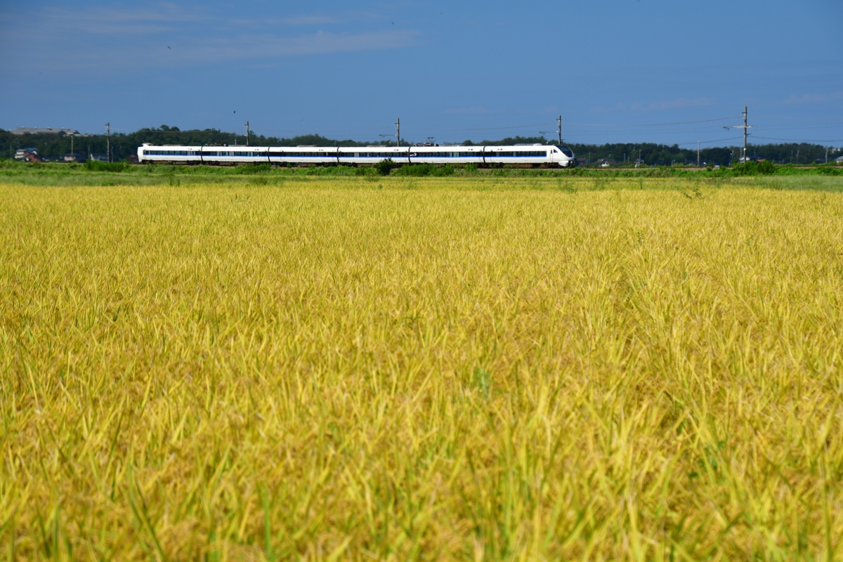 鉄道写真・撮影・七尾線・羽咋－千路