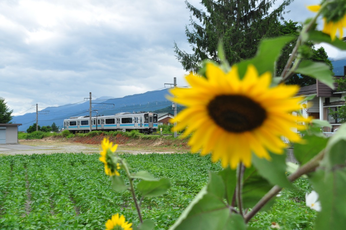 撮影・大糸線・信濃常盤－南大町