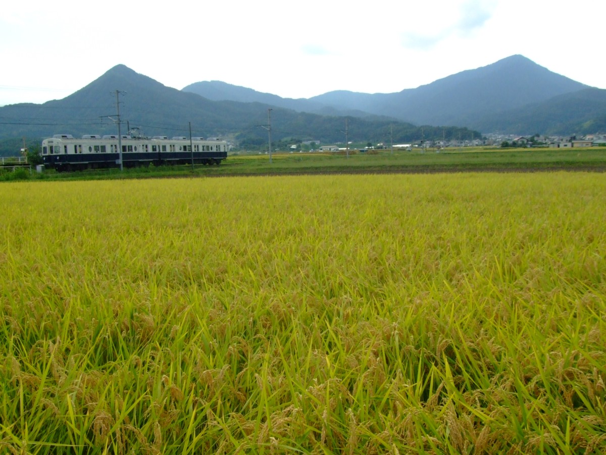 撮影・上田電鉄・舞田