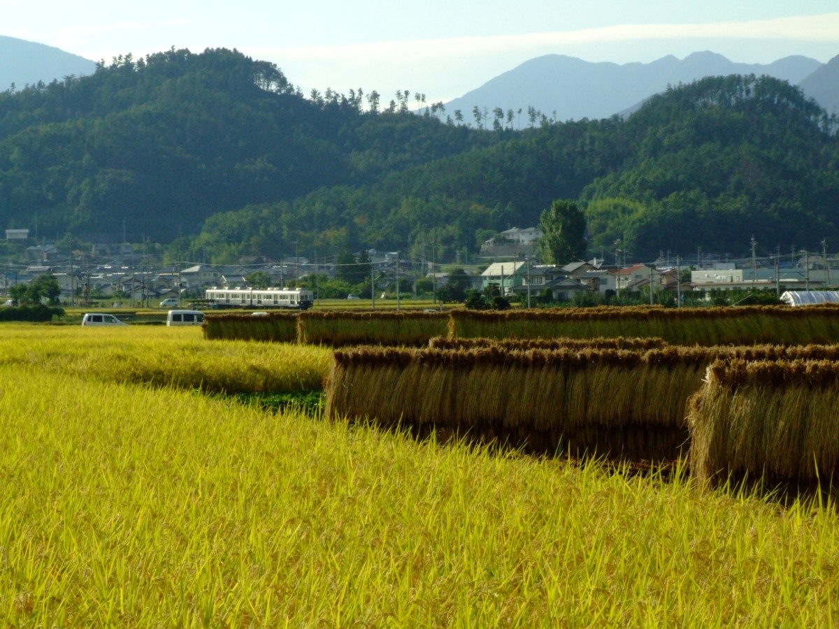 撮影・上田電鉄・中野－舞田