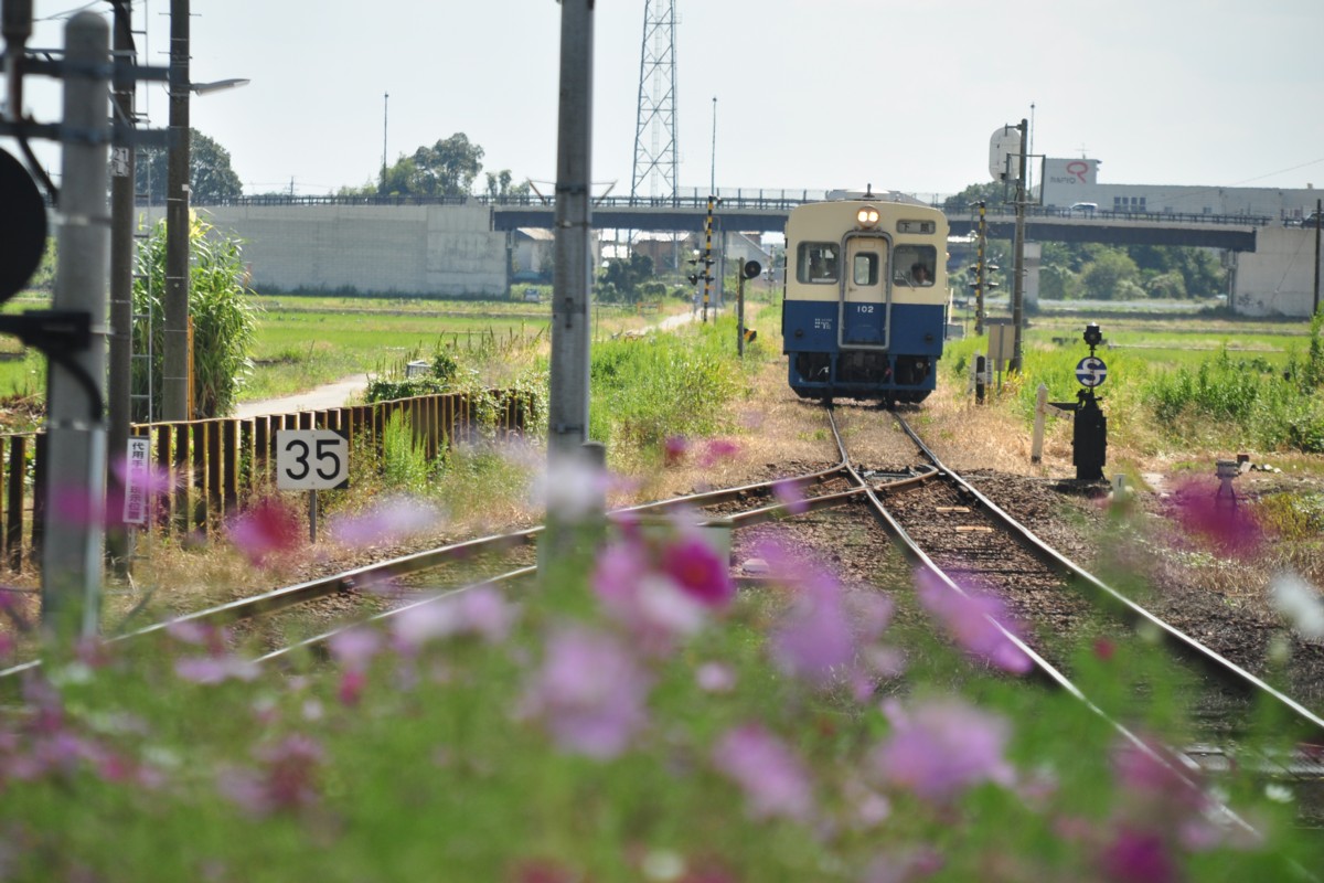 関東鉄道常総線・三妻