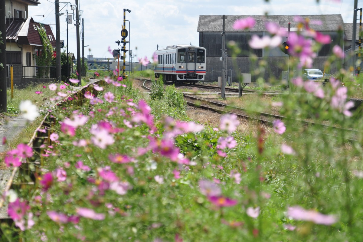 関東鉄道常総線・三妻