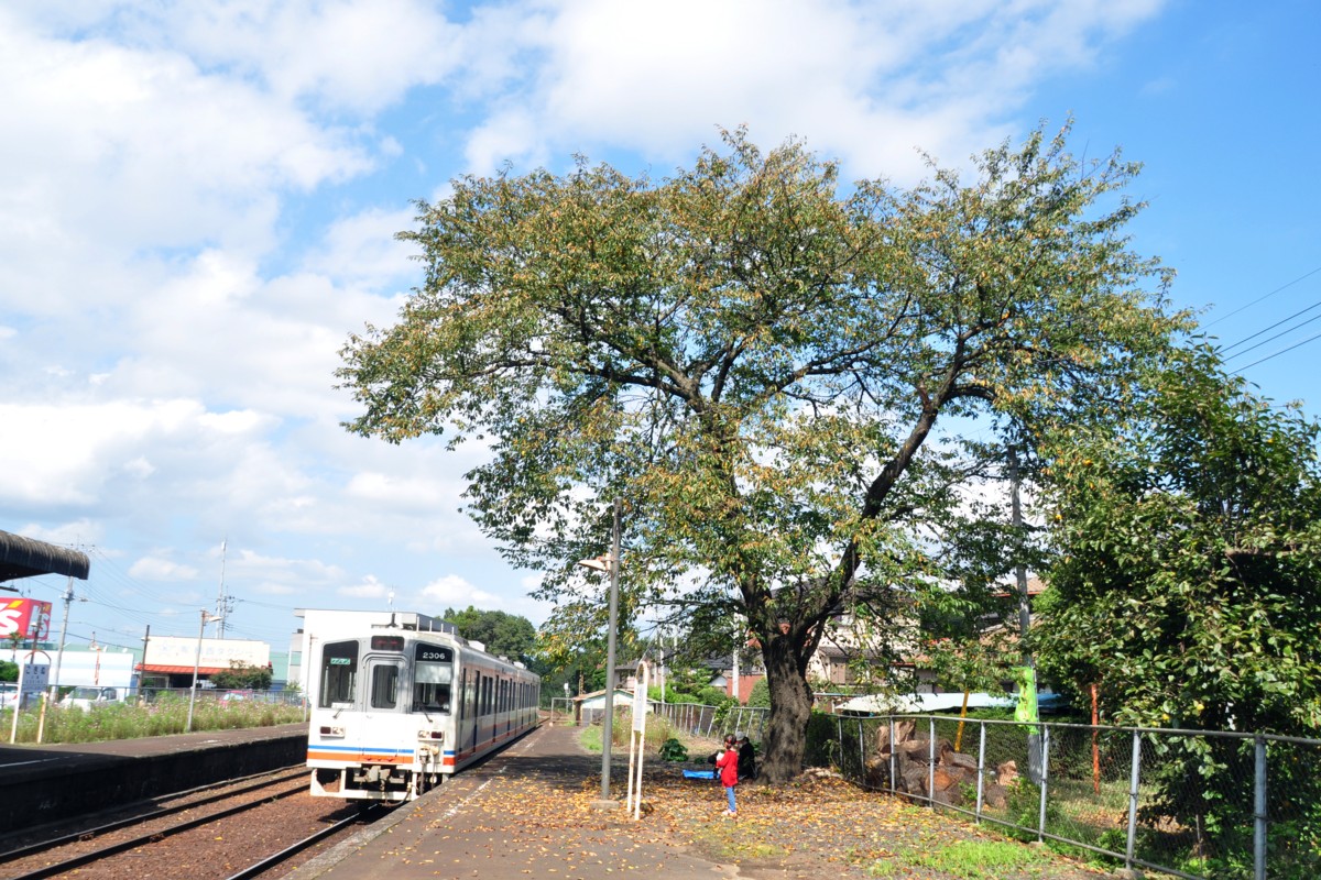 関東鉄道常総線・小絹