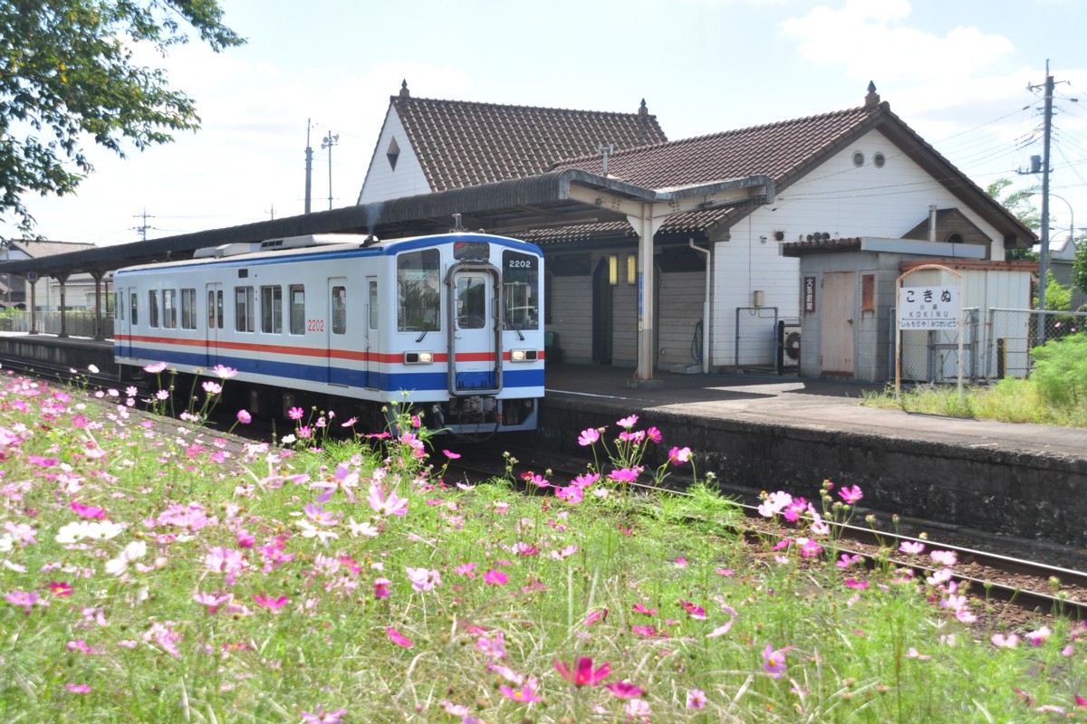 関東鉄道常総線・小絹