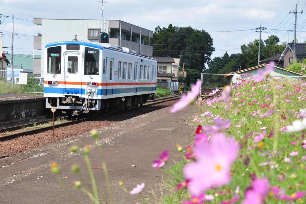 関東鉄道常総線・小絹