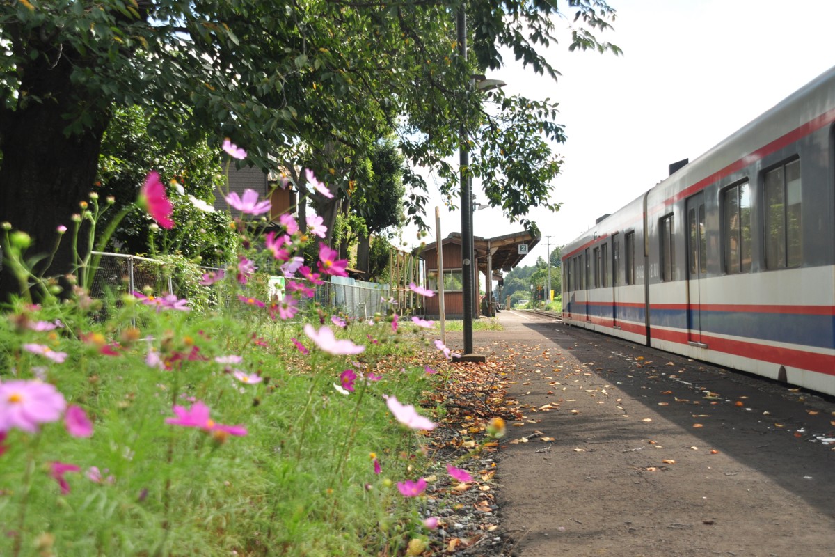 関東鉄道常総線・小絹