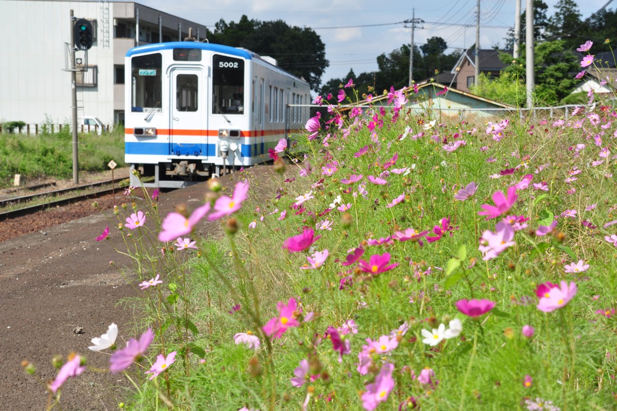 関東鉄道常総線・小絹