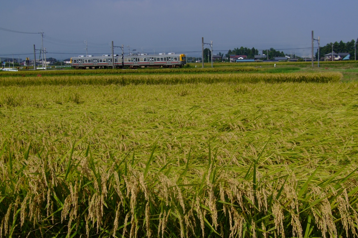 上毛電鉄・膳－粕川