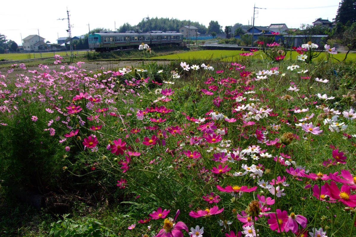 上毛電鉄・大胡－江木