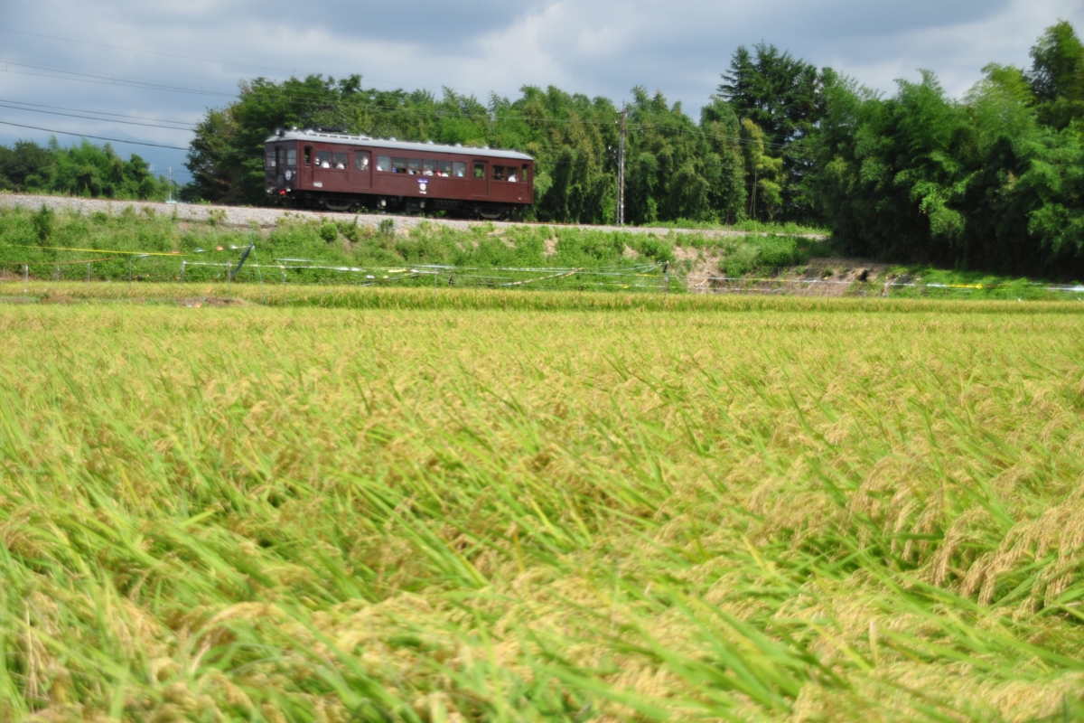 上毛電鉄・大胡－江木
