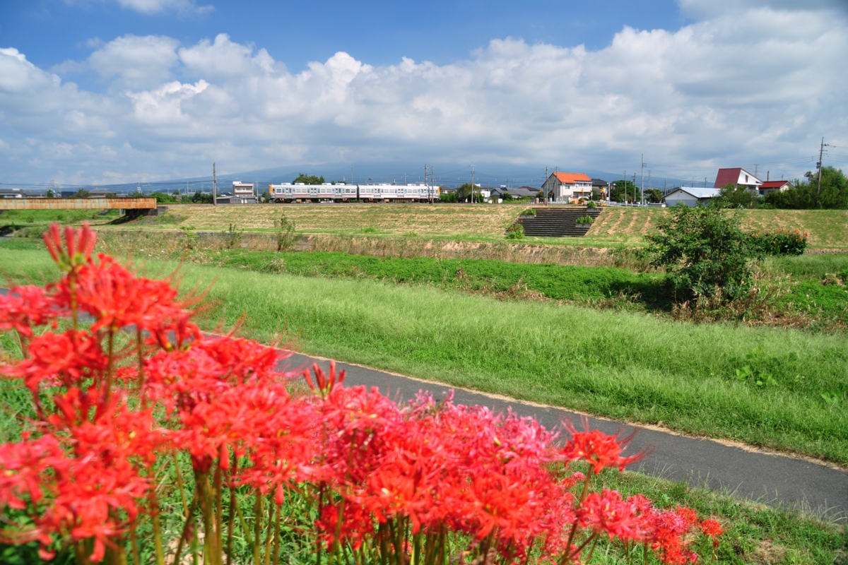 上毛電鉄・赤坂－上泉