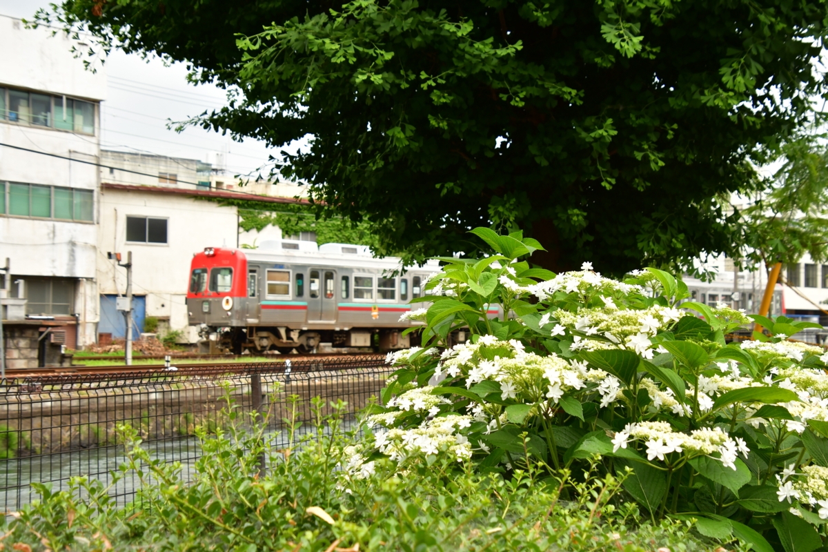 鉄道写真・撮影・上毛電鉄・中央前橋
