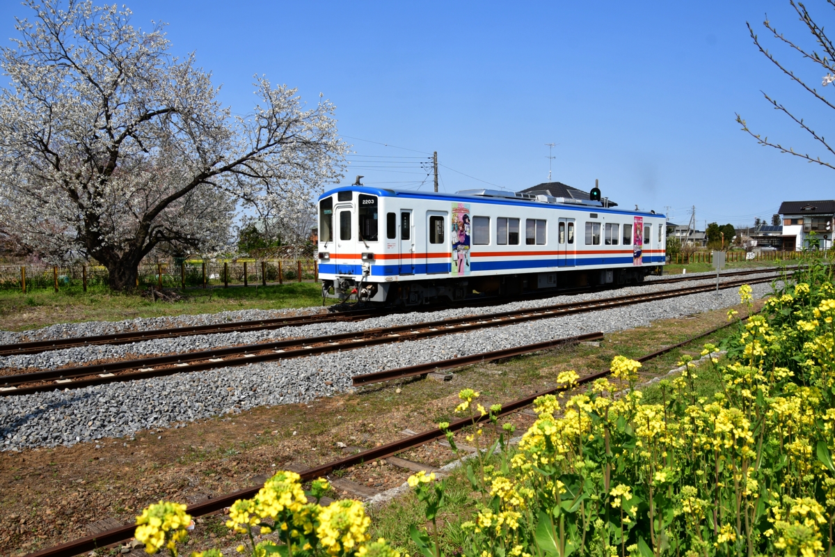 撮影・関東鉄道常総線・黒子