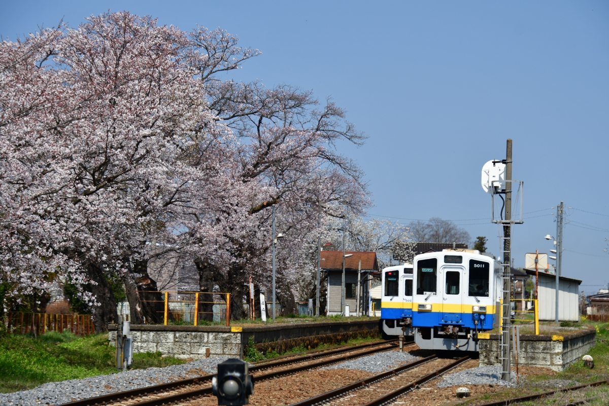撮影・関東鉄道常総線・黒子