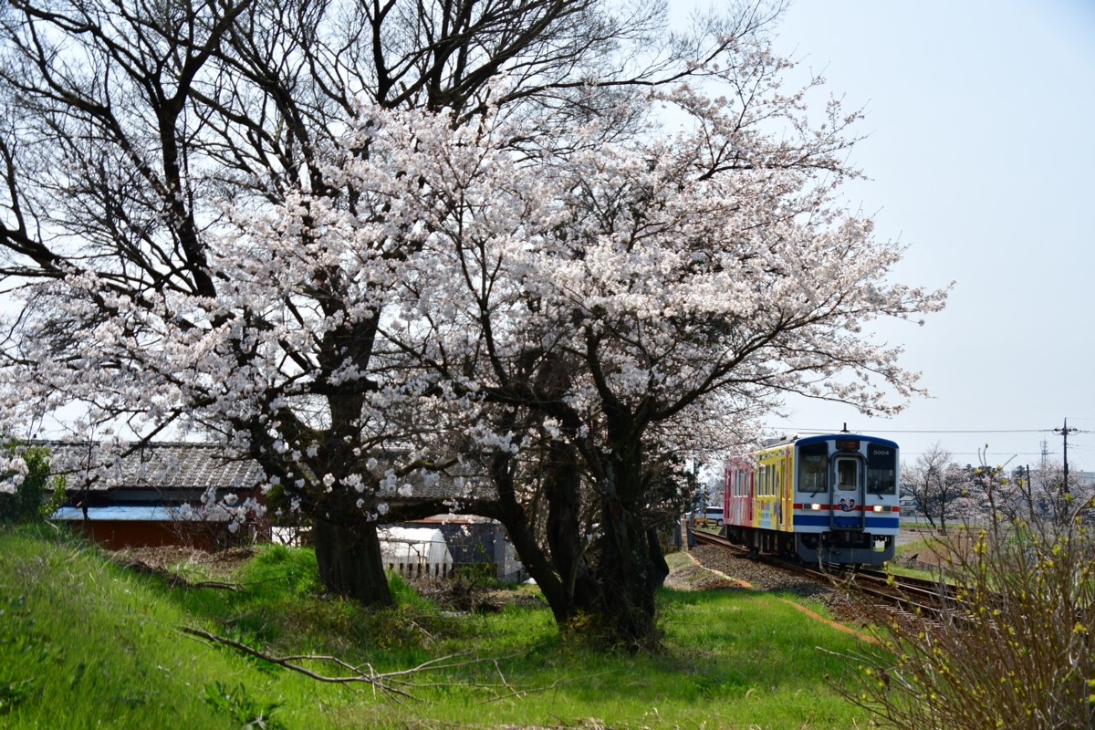 撮影・関東鉄道常総線・大宝