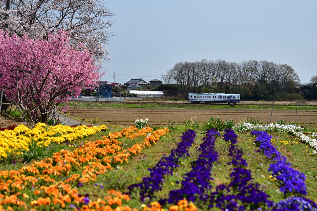 撮影・関東鉄道常総線・大宝