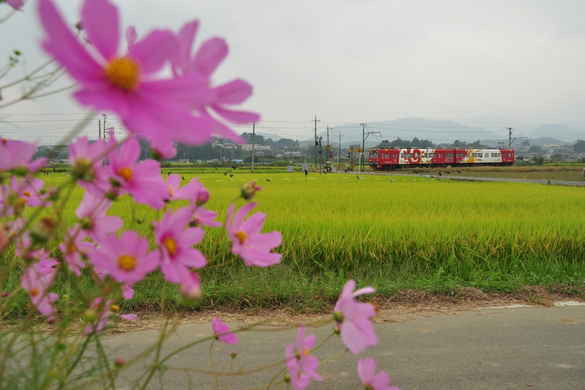 撮影・上信電鉄・上州新屋－上州福島