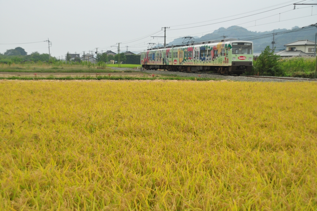 撮影・上信電鉄・神農原－南蛇井