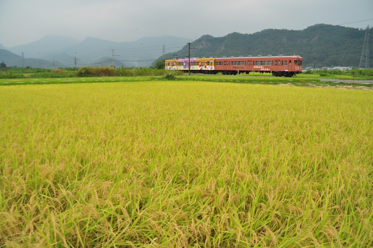 撮影・上信電鉄・神農原－南蛇井