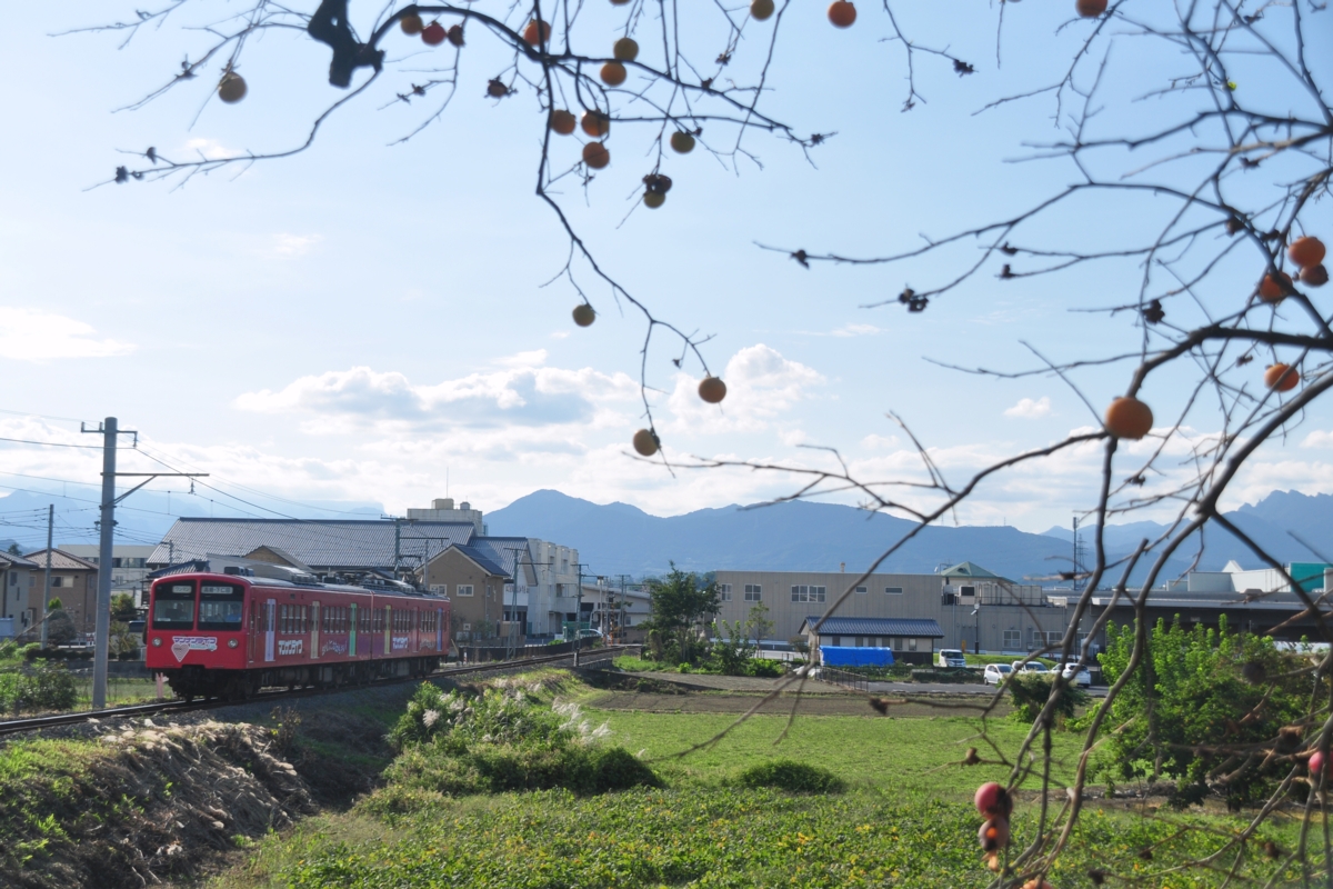 撮影・上信電鉄・南蛇井－千平