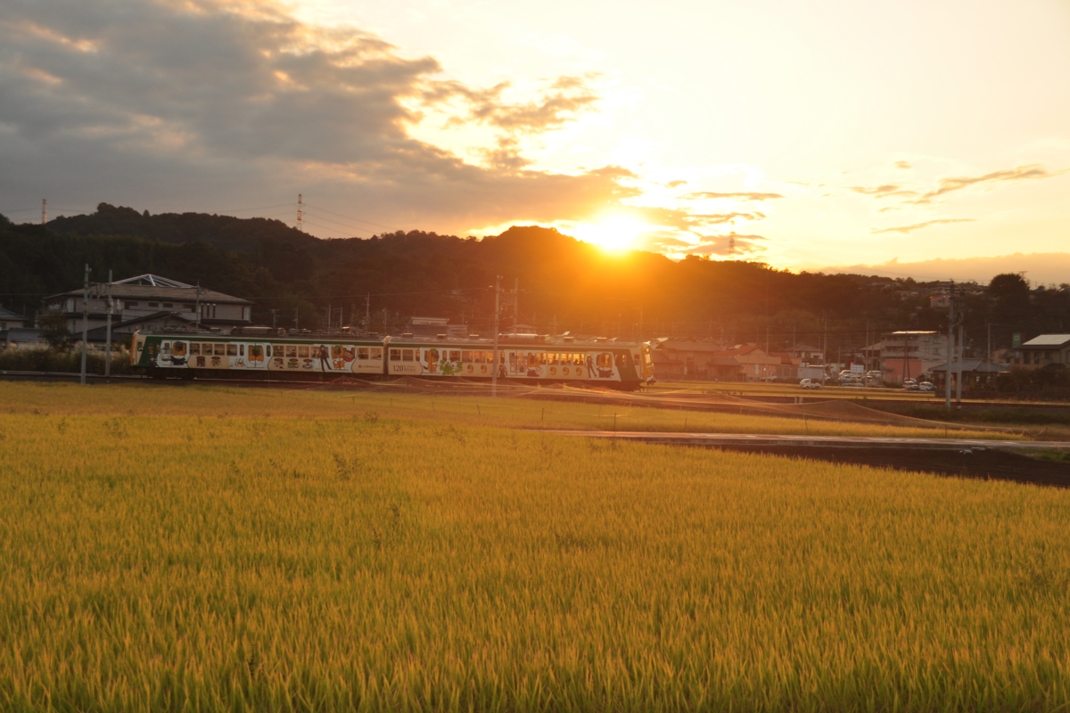 撮影・上信電鉄・佐野のわたし－根小屋