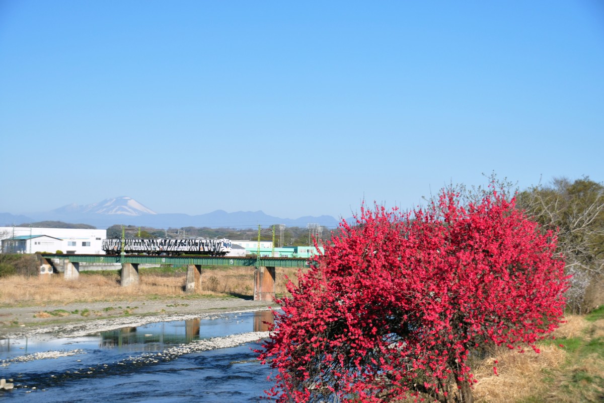 上信電鉄・馬庭－吉井