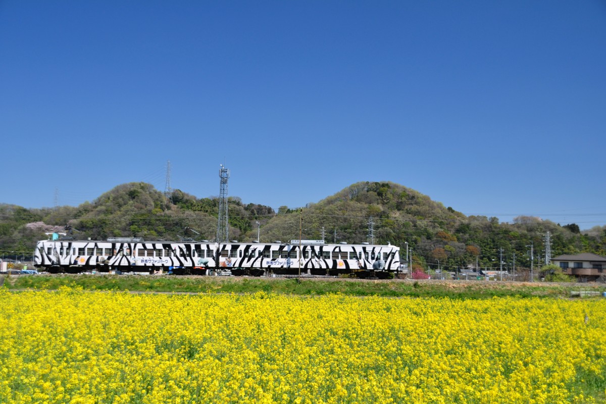 上信電鉄・上州福島－東富岡
