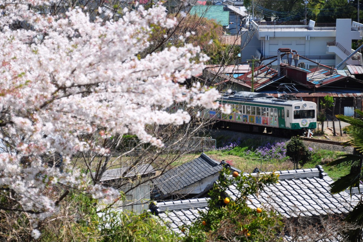 上信電鉄・上州七日市－上州一ノ宮
