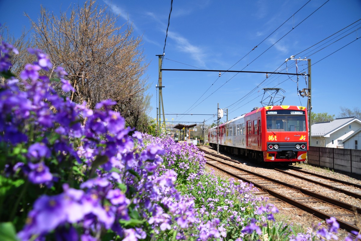 上信電鉄・上州一ノ宮