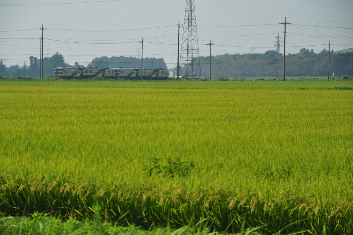 撮影・烏山線・宝積寺－下野花岡