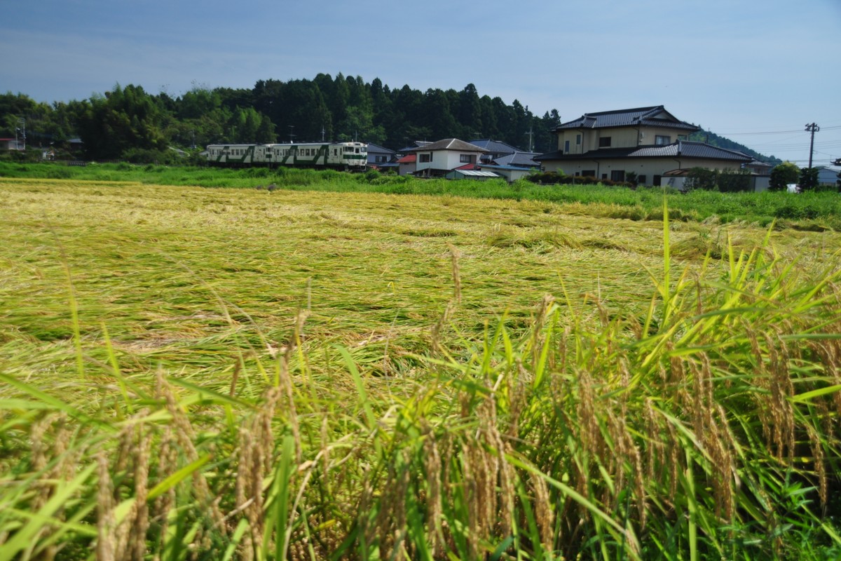 撮影・烏山線・仁井田－鴻野山
