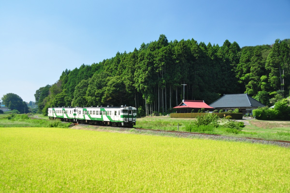撮影・烏山線・鴻野山－大金