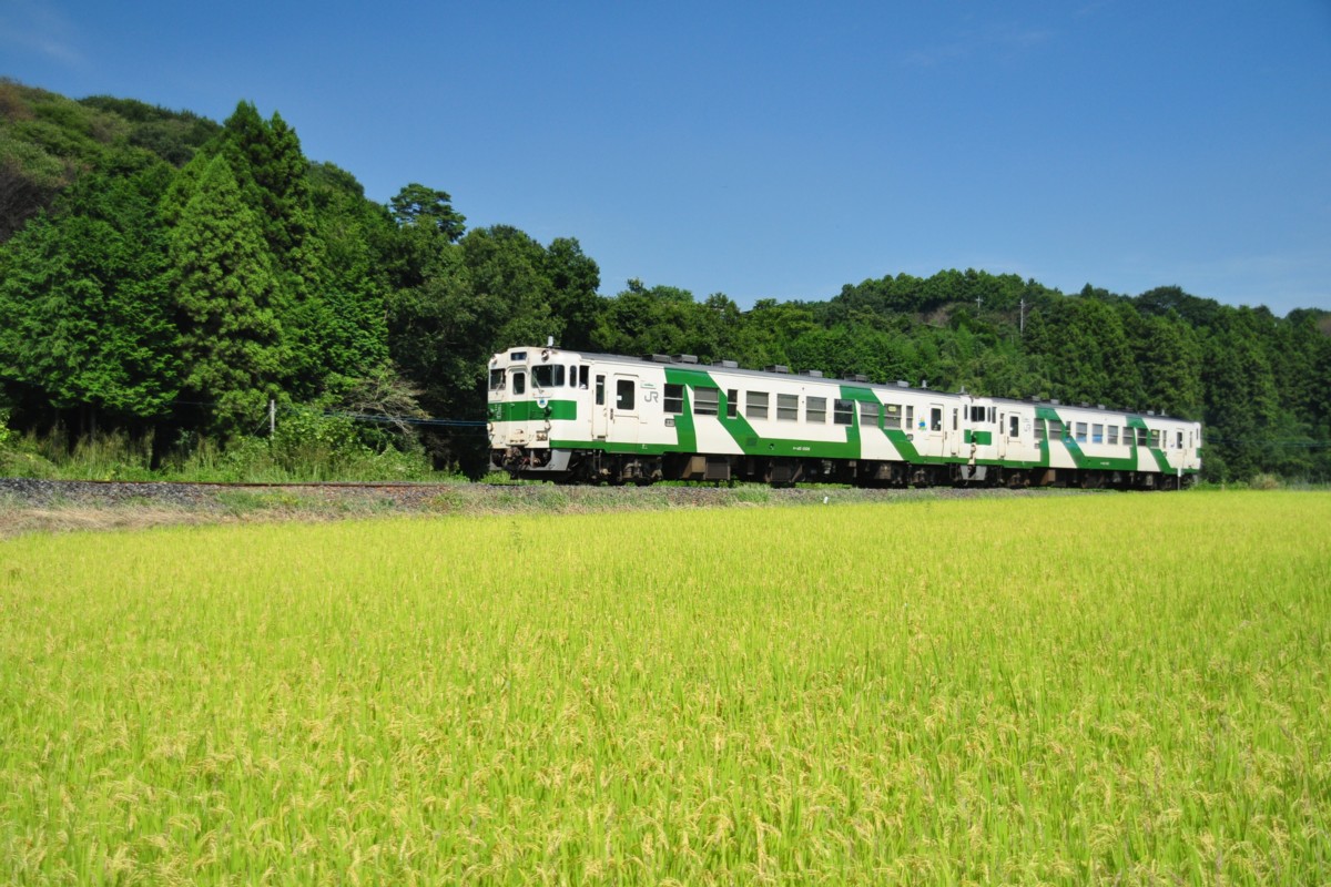 撮影・烏山線・鴻野山－大金