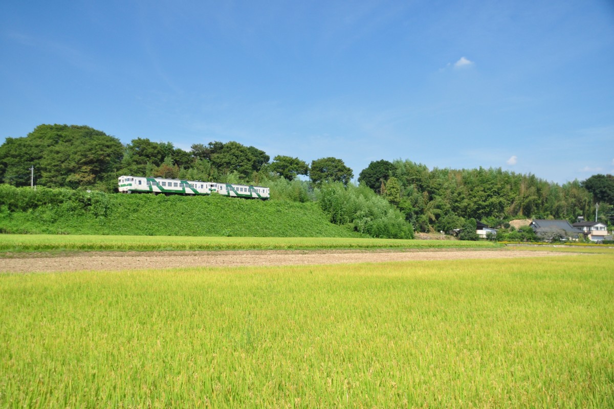 撮影・烏山線・小塙－滝