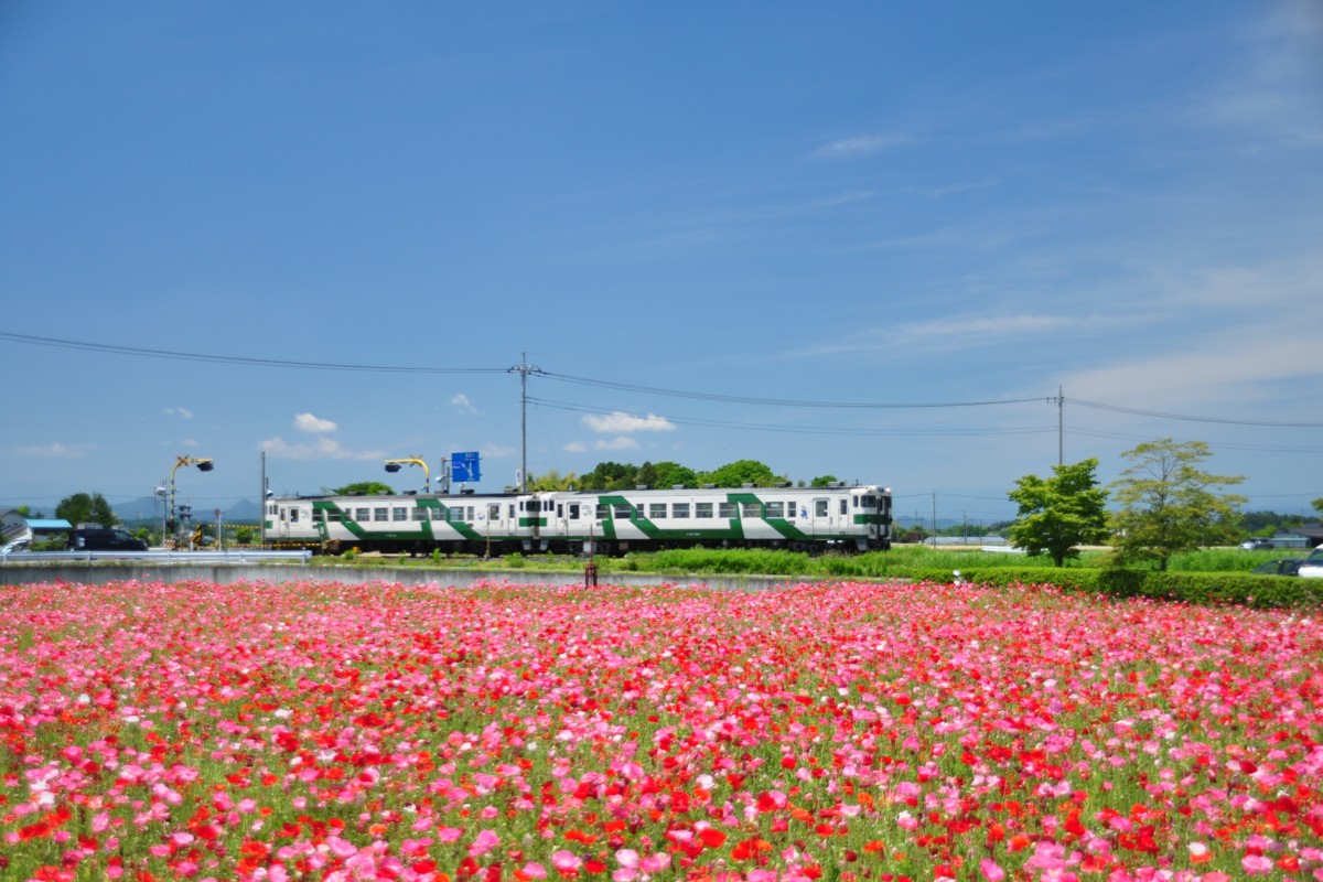 撮影・烏山線・下野花岡